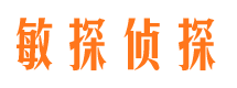 谯城侦探公司